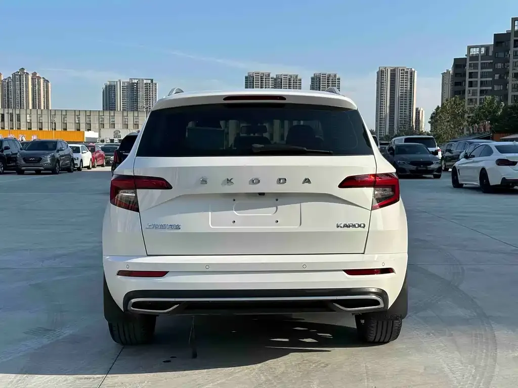 Skoda Karoq — фото 7