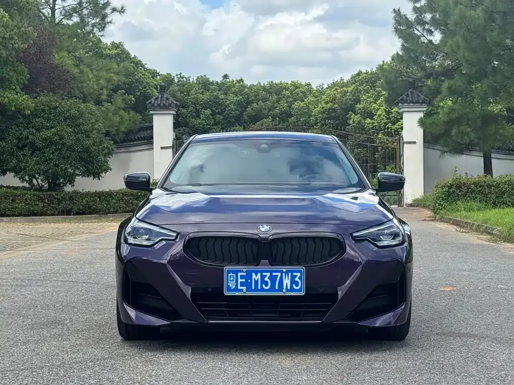 BMW 2 Series (Import) — фото 9