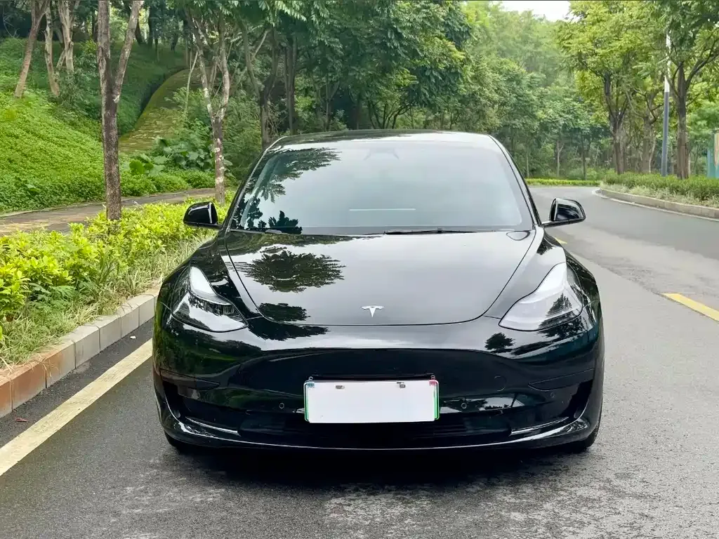 Tesla Model 3 — фото 4
