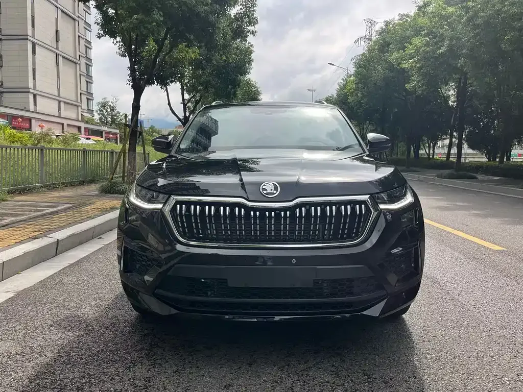 Skoda Kodiaq — фото 1
