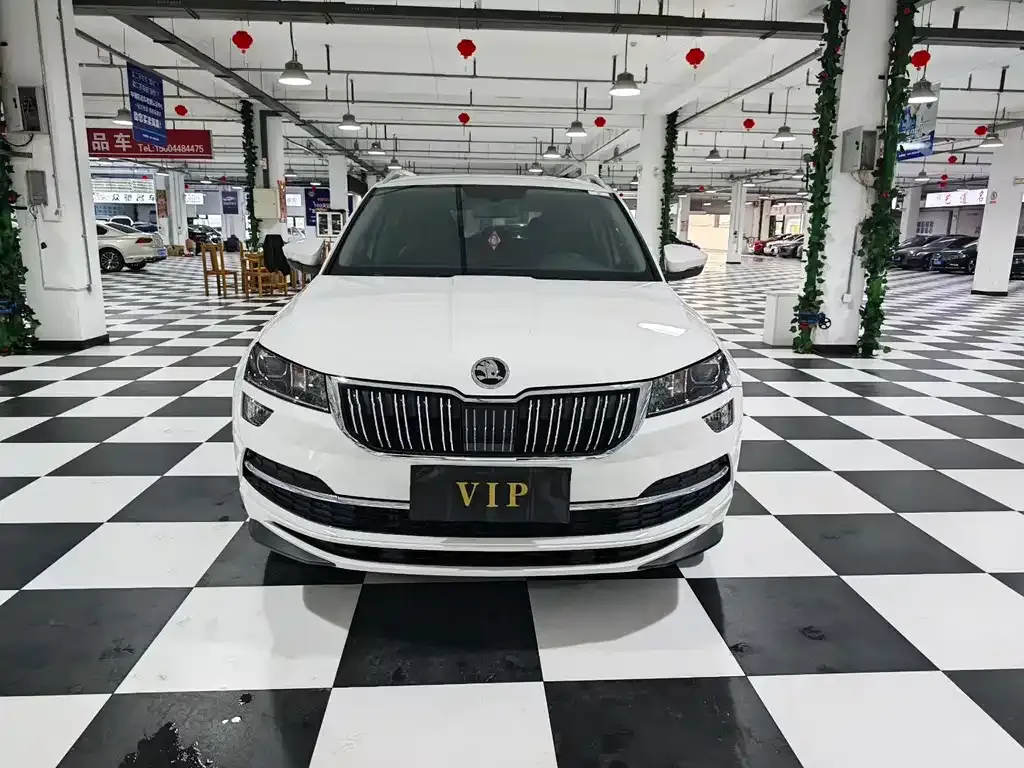 Skoda Karoq — фото 5