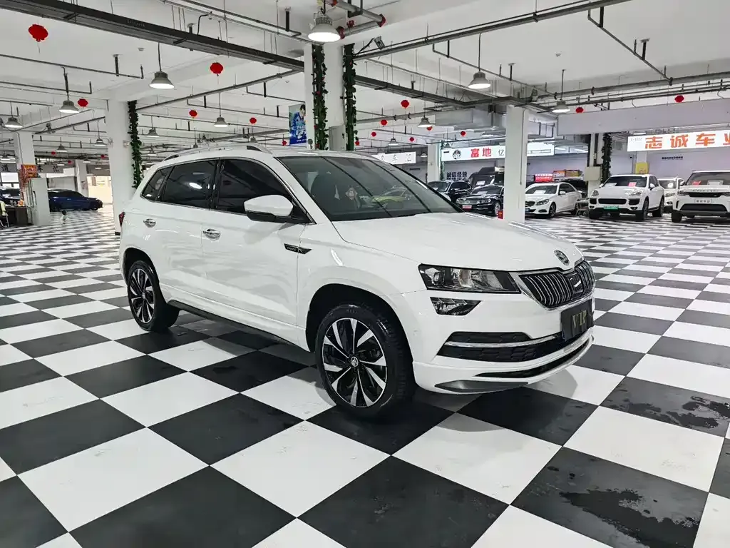 Skoda Karoq — фото 7