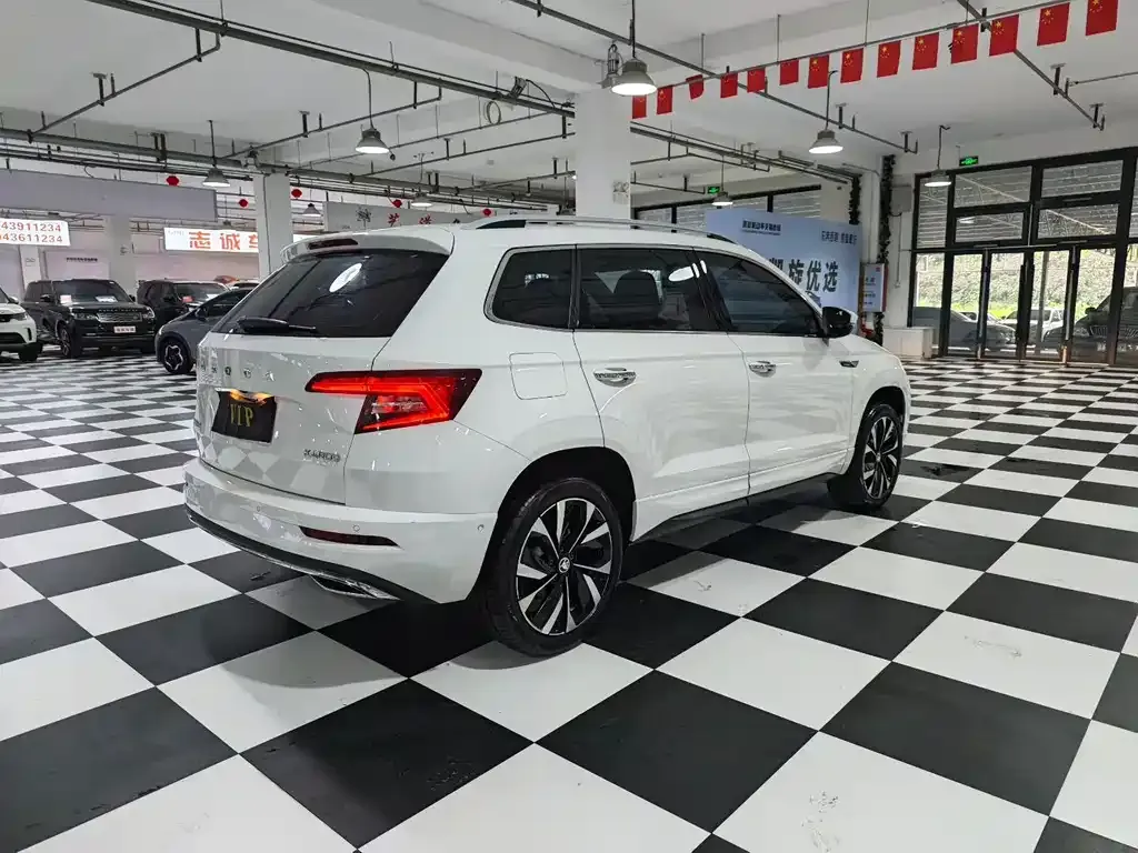 Skoda Karoq — фото 6