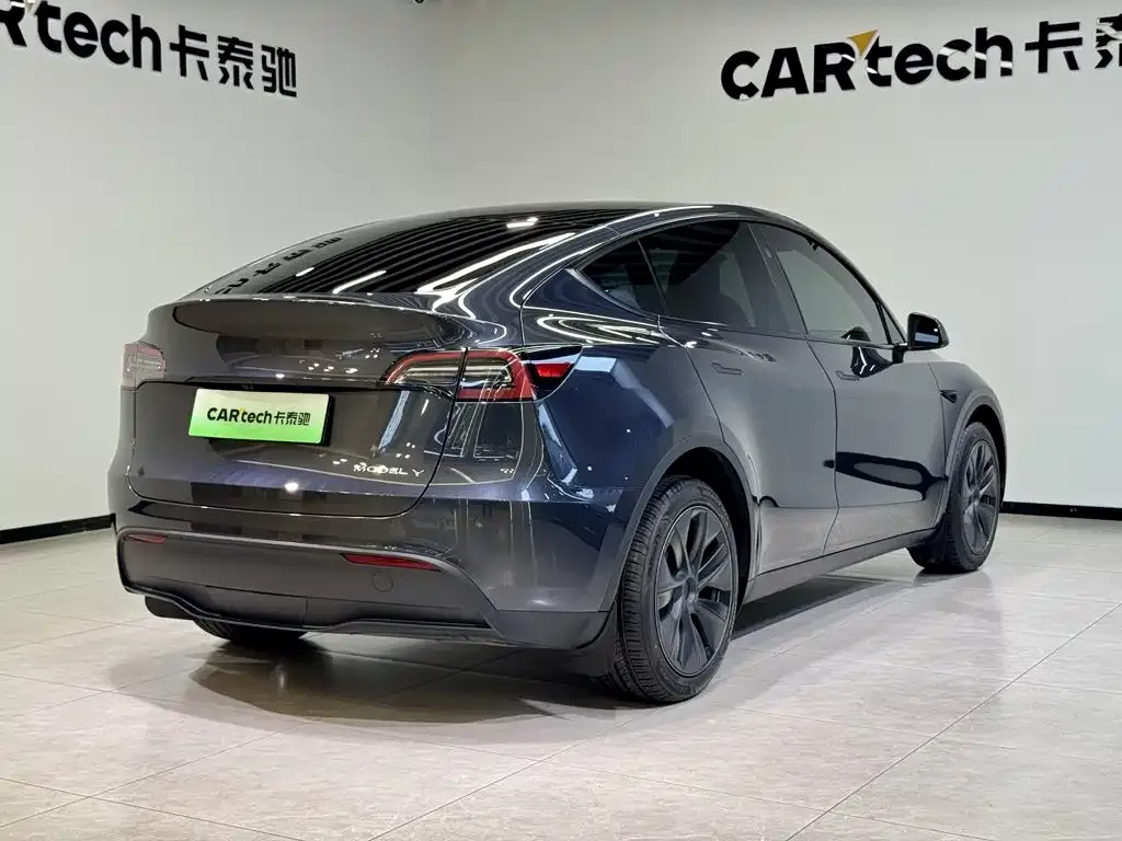 Tesla Model Y — фото 10