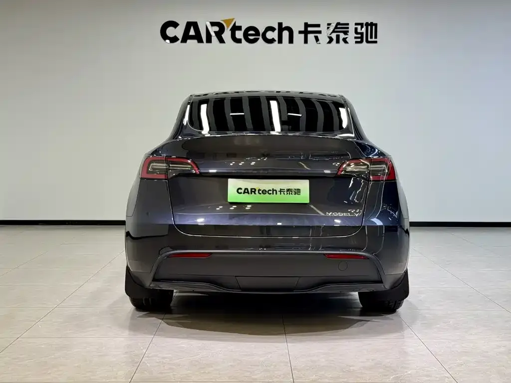 Tesla Model Y — фото 2