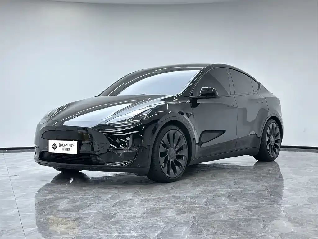 Tesla Model Y — фото 1