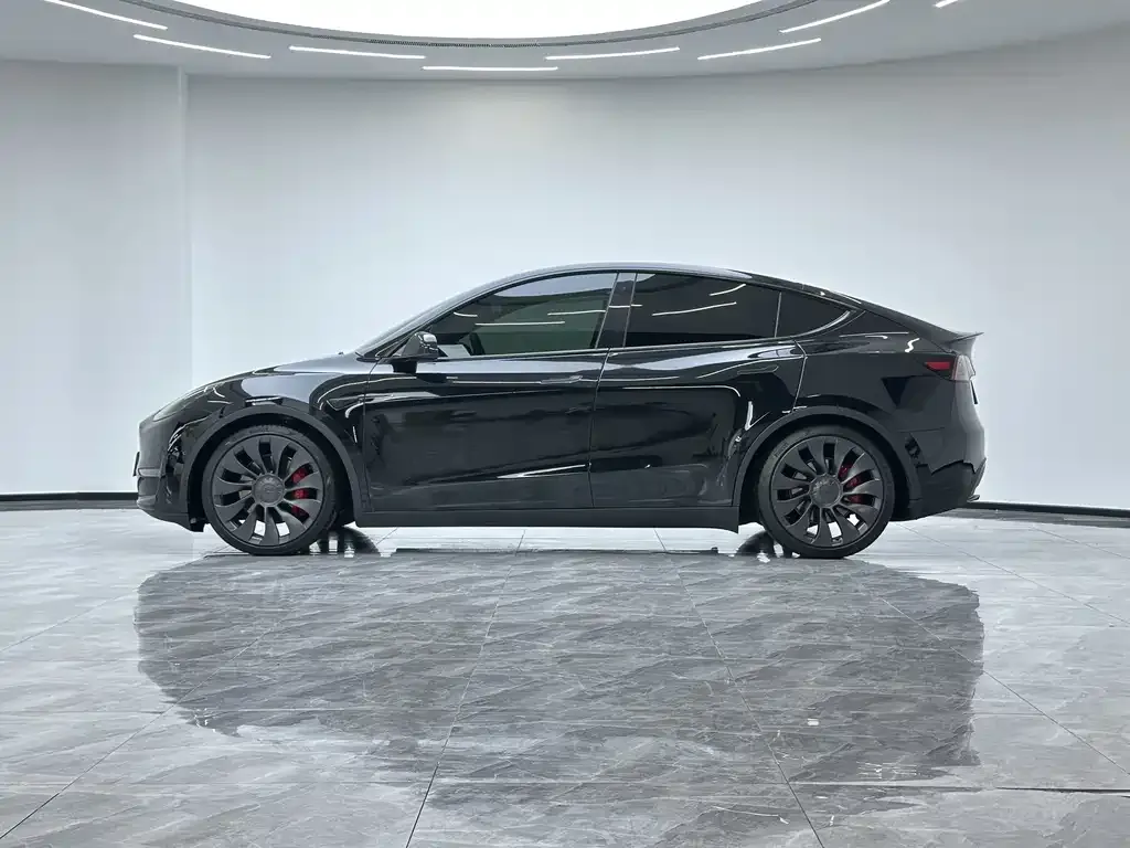 Tesla Model Y — фото 10