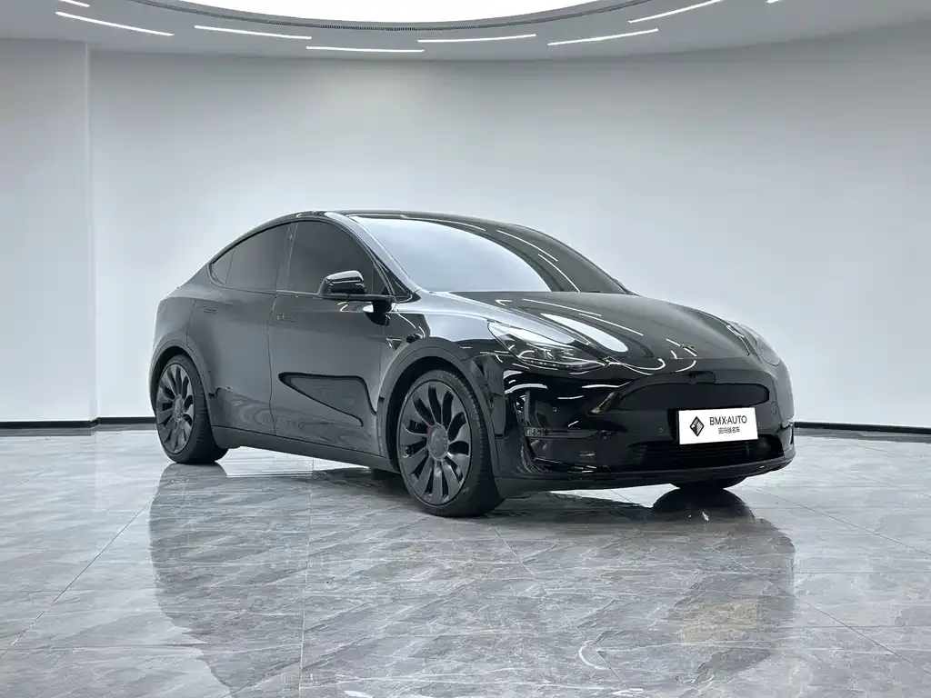 Tesla Model Y — фото 8