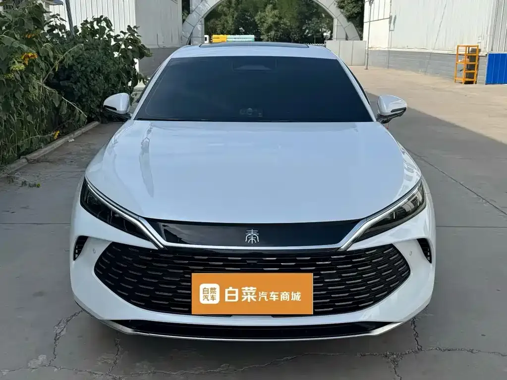 BYD Qin L — фото 6