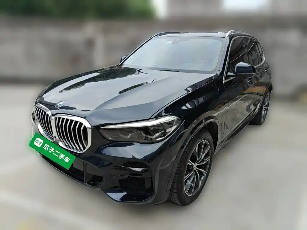 BMW X5 (Import) — фото 7
