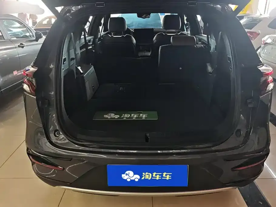 BYD Tang New Energy — фото 10