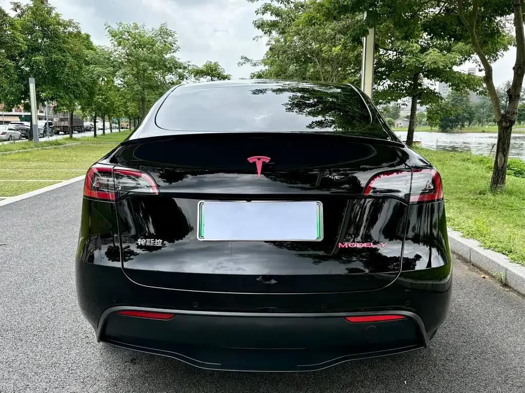 Tesla Model Y — фото 6