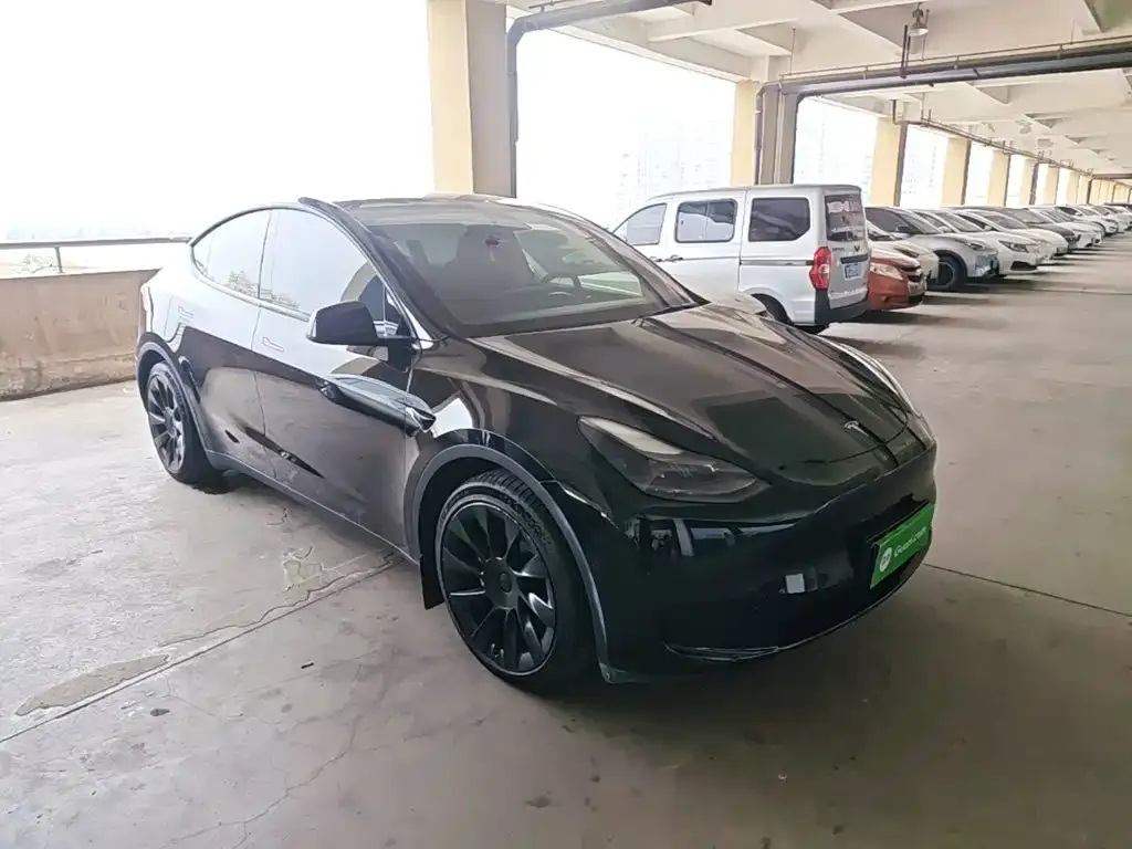Tesla Model Y — фото 10