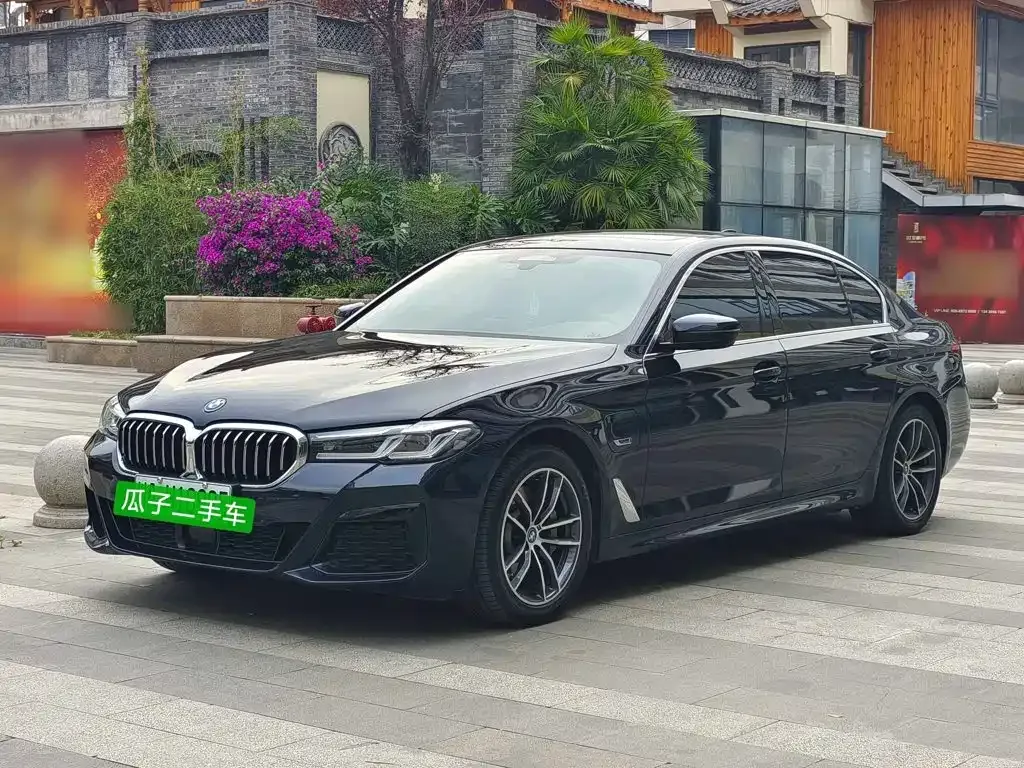 BMW 5 Series New Energy — фото 10