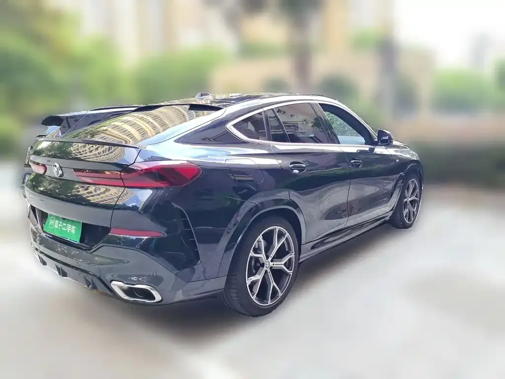 BMW X6 — фото 9