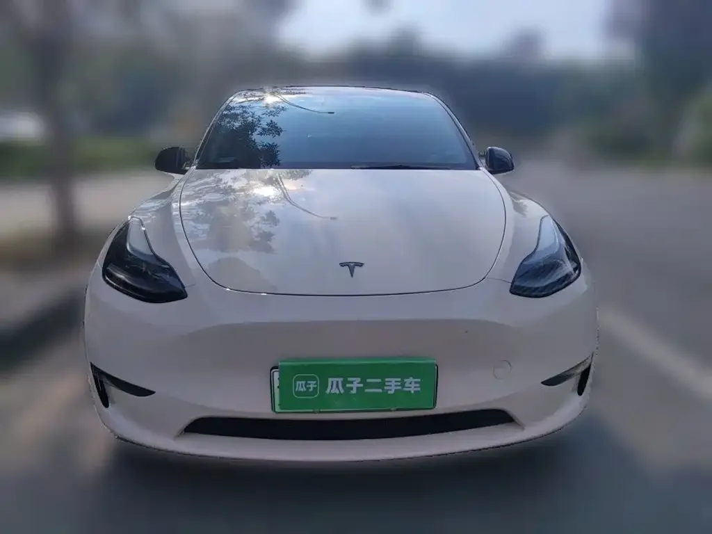 Tesla Model Y — фото 3