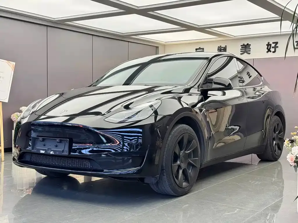 Tesla Model Y — фото 1