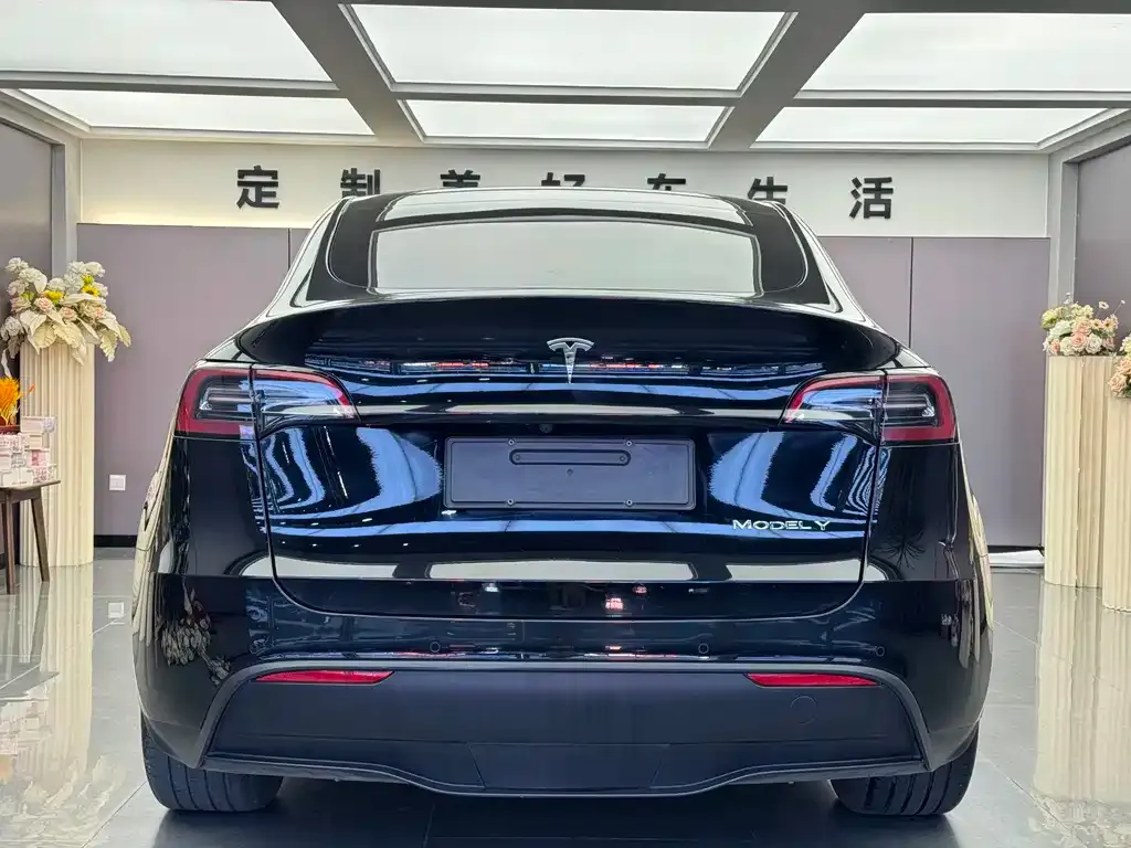 Tesla Model Y — фото 3