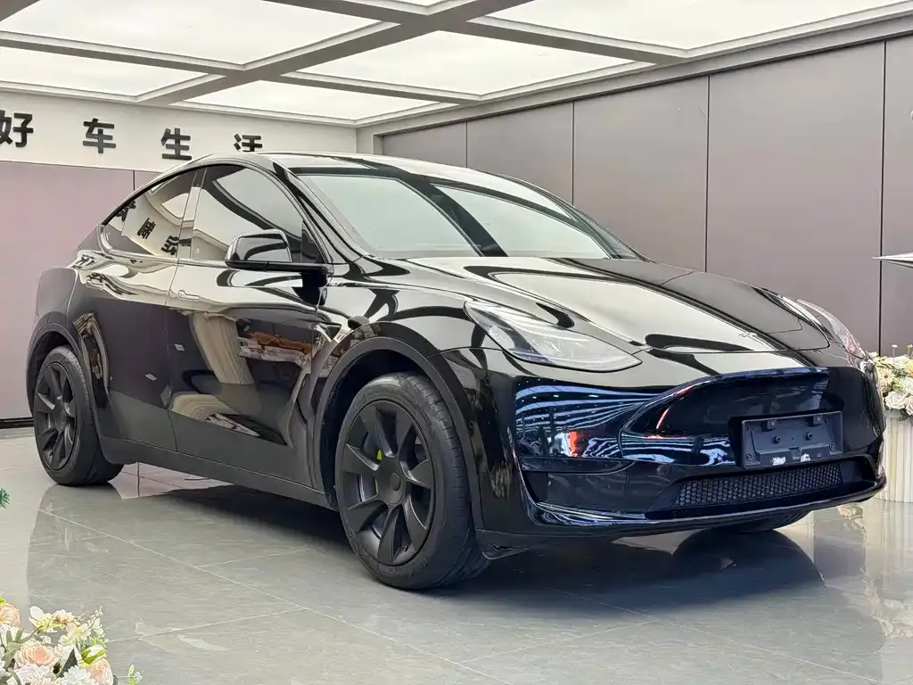 Tesla Model Y — фото 10