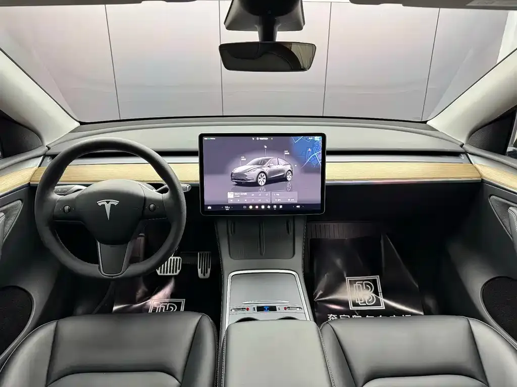 Tesla Model Y — фото 2