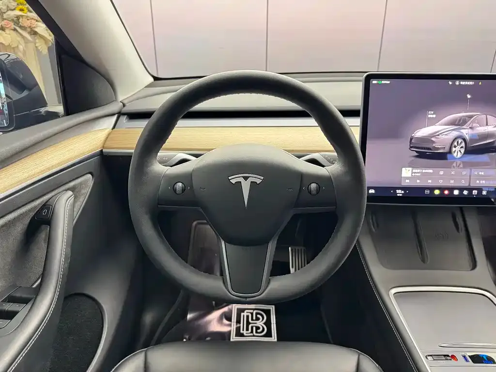 Tesla Model Y — фото 7
