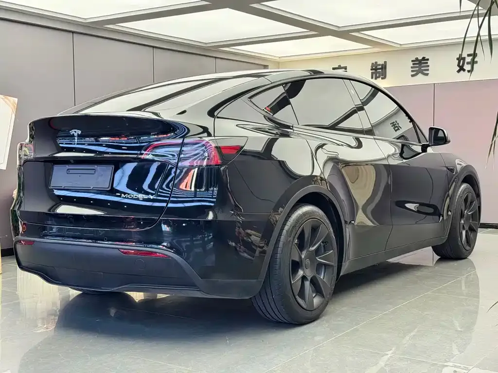Tesla Model Y — фото 8