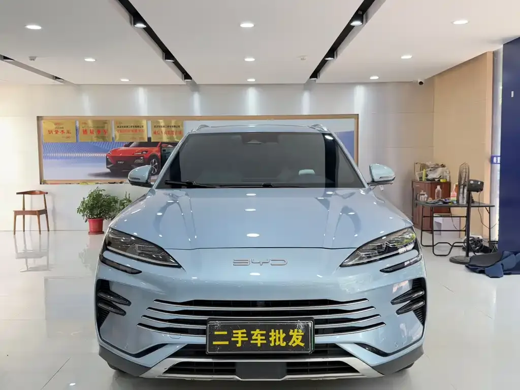 BYD PLUS New Energy — фото 6