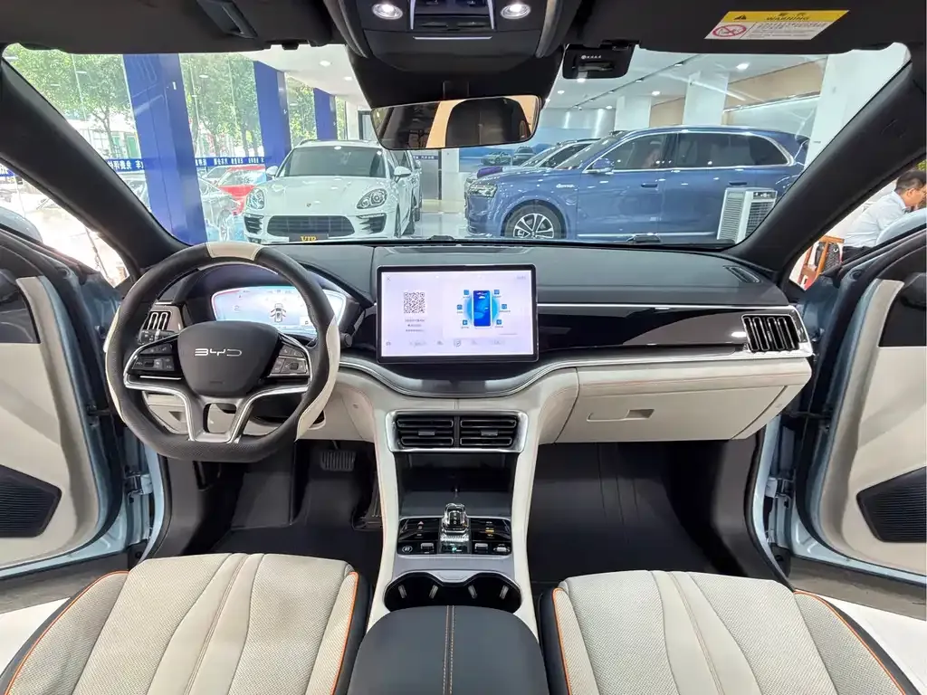 BYD PLUS New Energy — фото 4