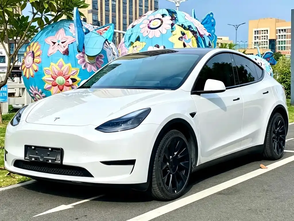 Tesla Model Y — фото 1
