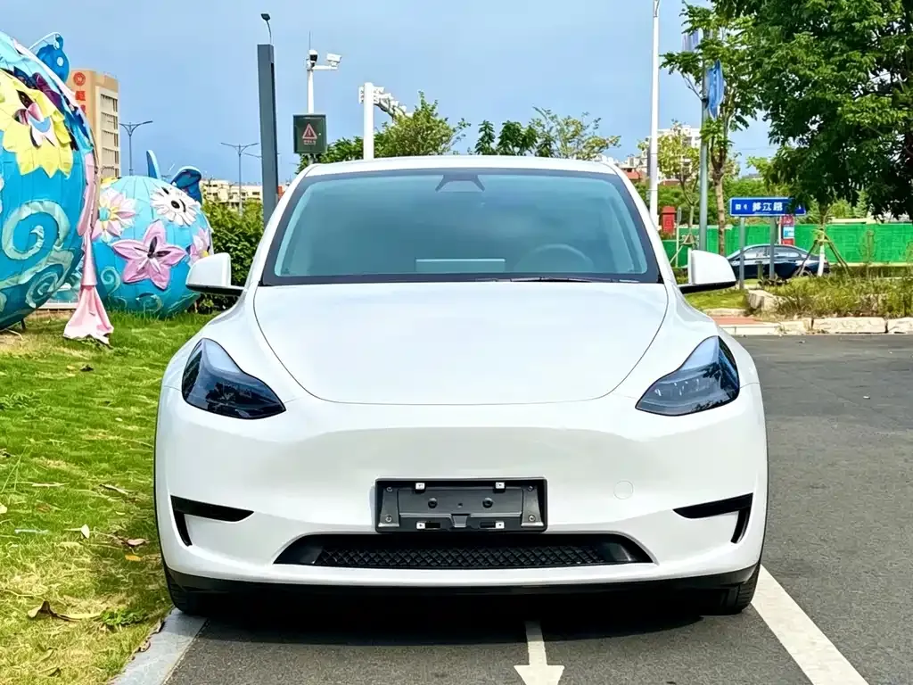 Tesla Model Y — фото 7