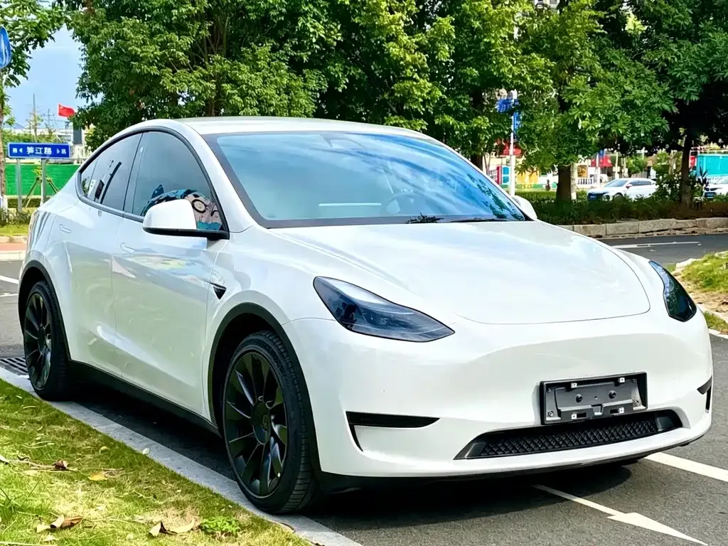 Tesla Model Y — фото 8