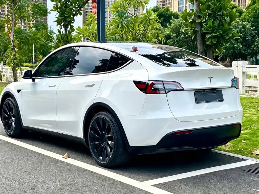 Tesla Model Y — фото 9