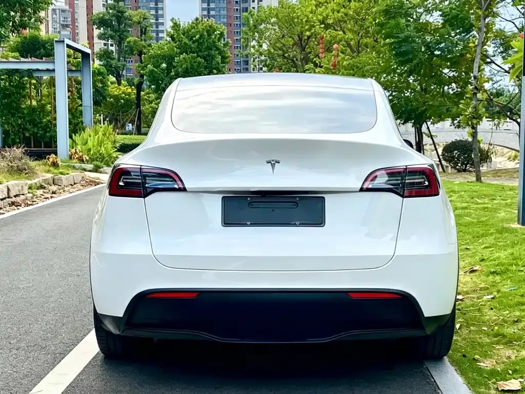 Tesla Model Y — фото 5