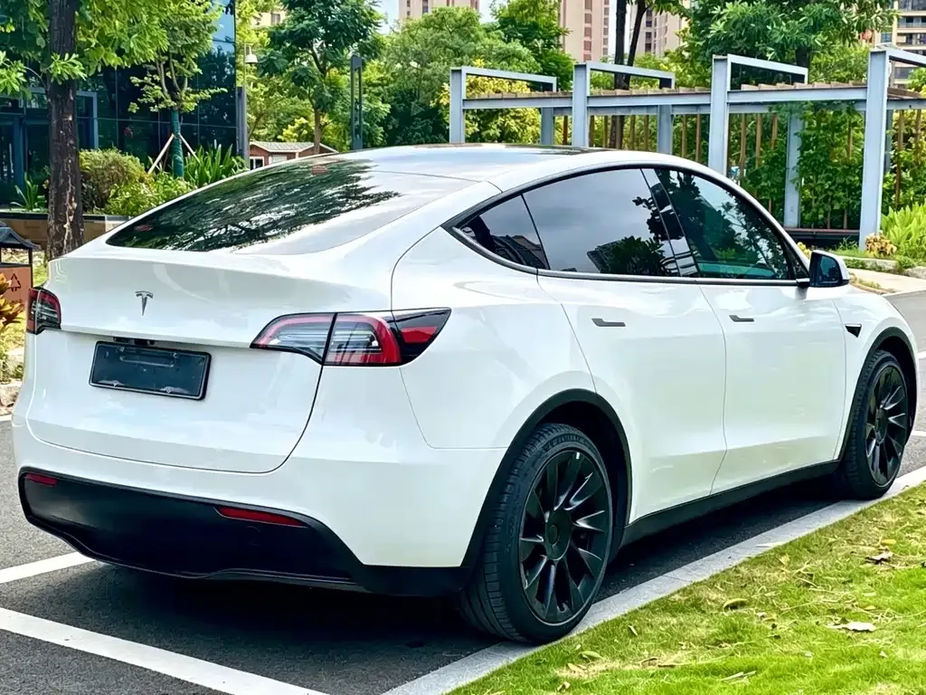 Tesla Model Y — фото 6