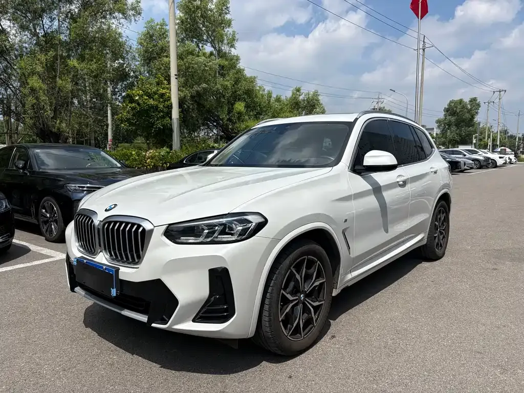 BMW X3 — фото 1