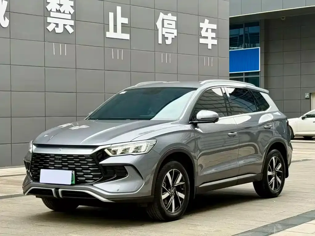 BYD Pro New Energy — фото 1