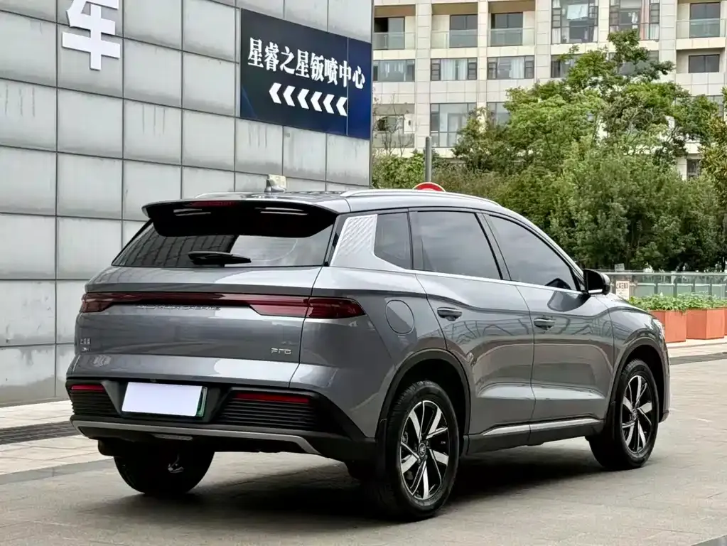 BYD Pro New Energy — фото 6