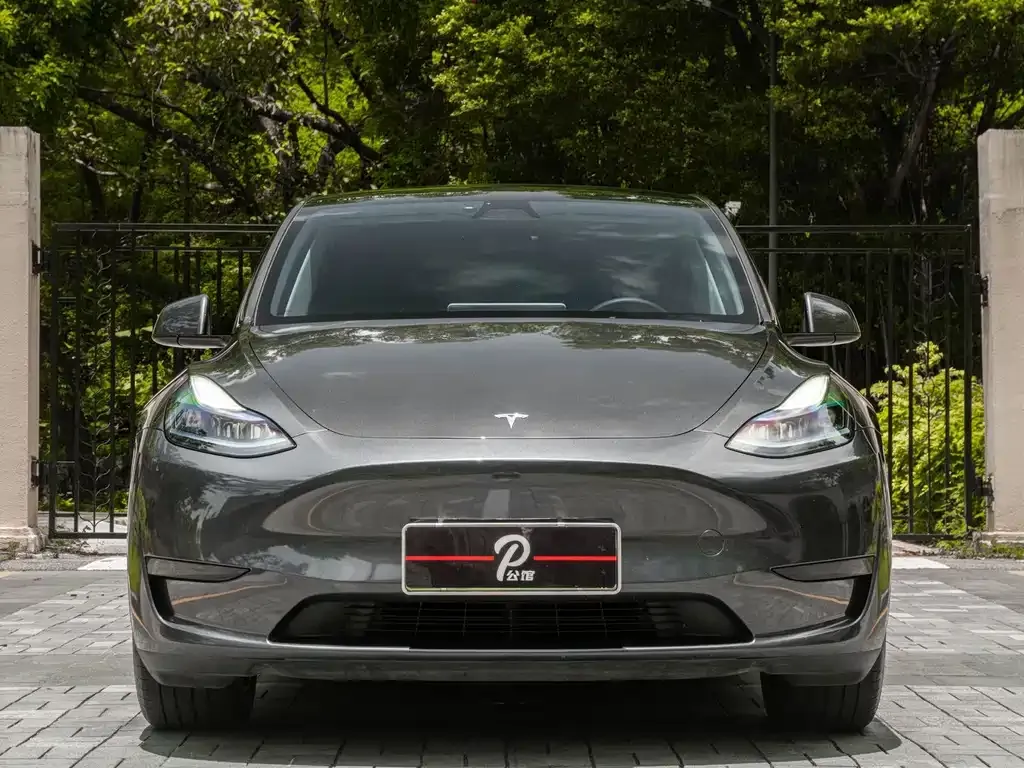 Tesla Model Y — фото 8
