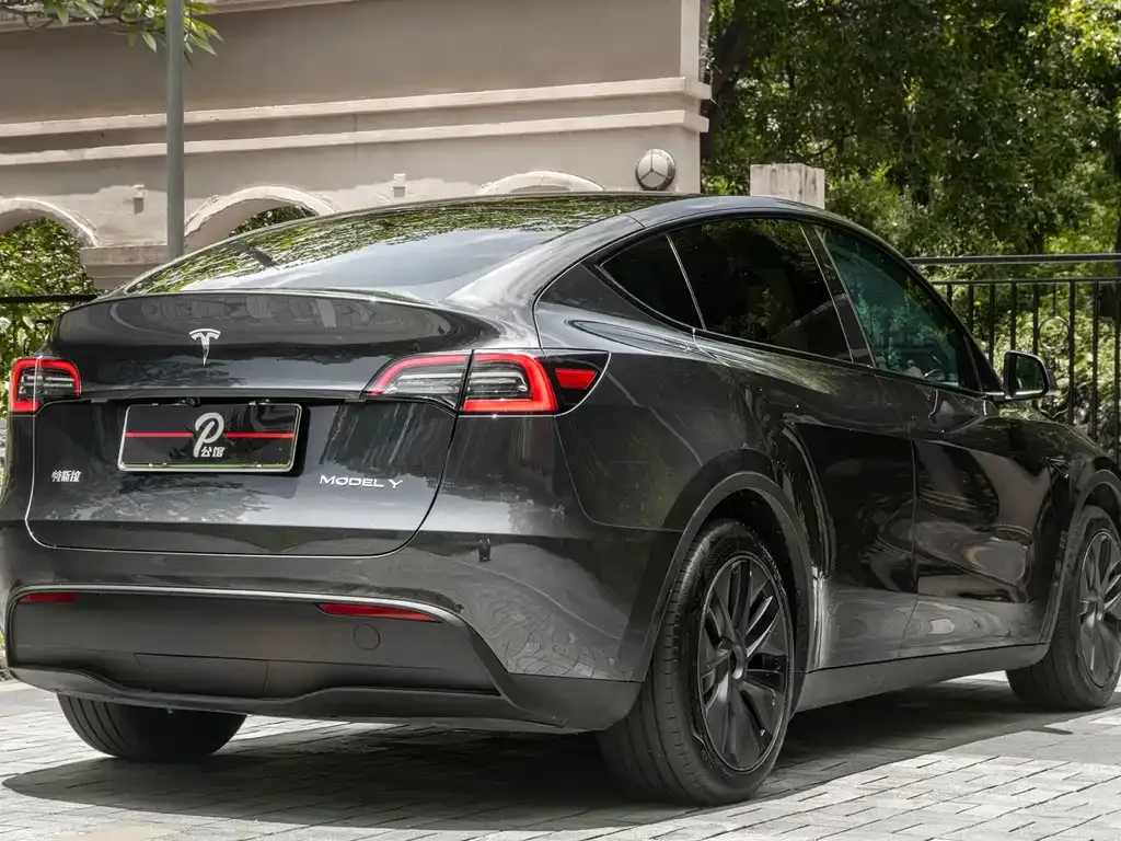 Tesla Model Y — фото 3
