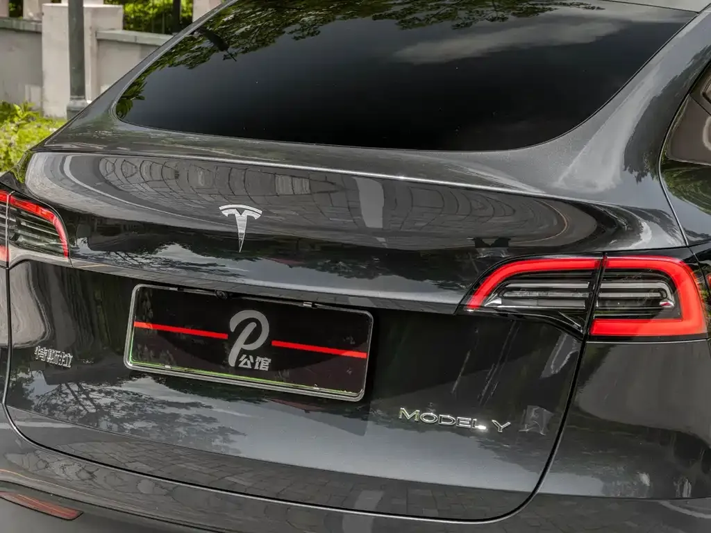 Tesla Model Y — фото 6