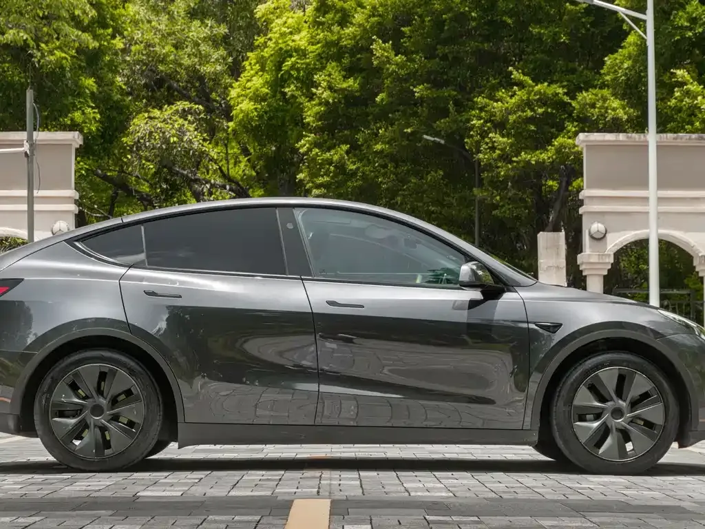 Tesla Model Y — фото 10