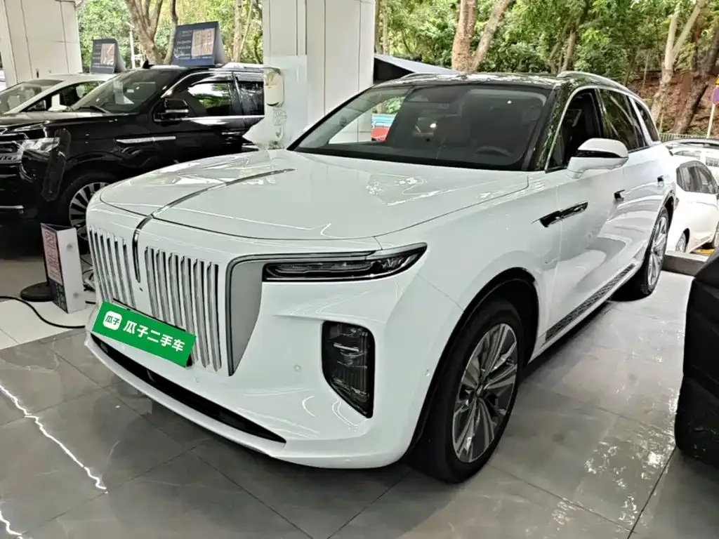Hongqi E-HS9 — фото 8