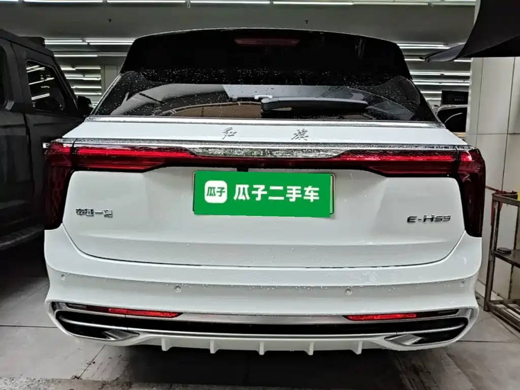 Hongqi E-HS9 — фото 10