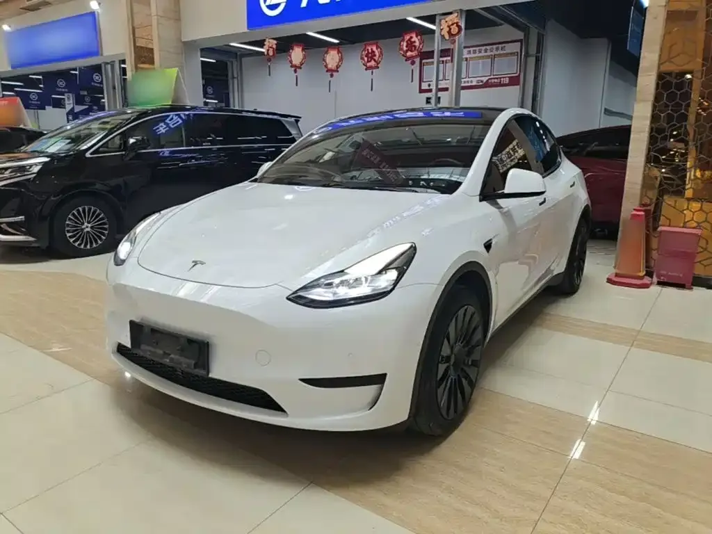 Tesla Model Y — фото 1