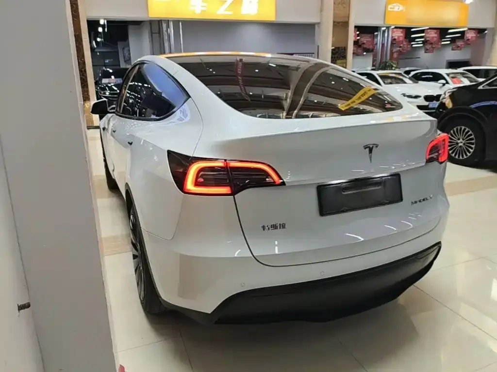 Tesla Model Y — фото 10