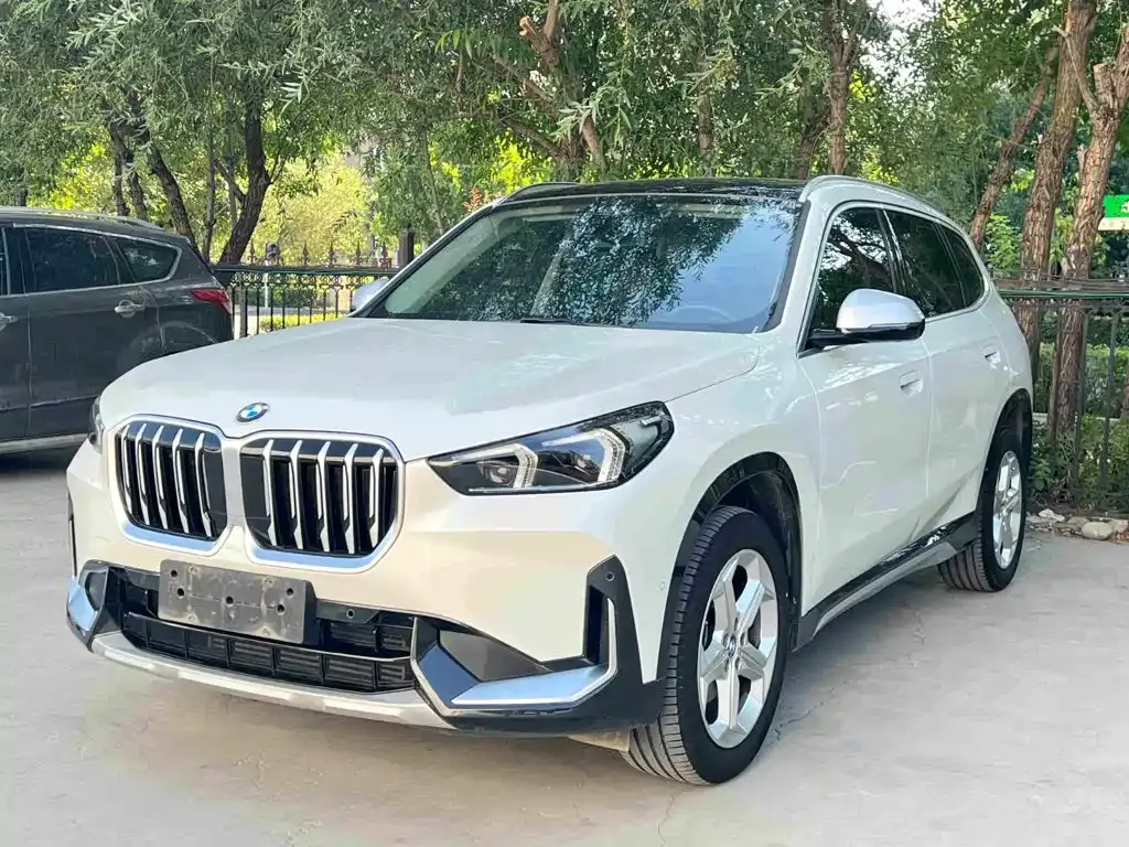BMW X1 — фото 1