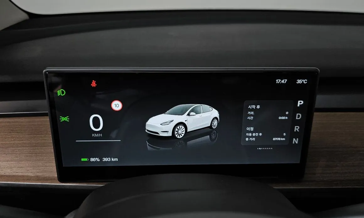 Tesla Model Y — фото 7