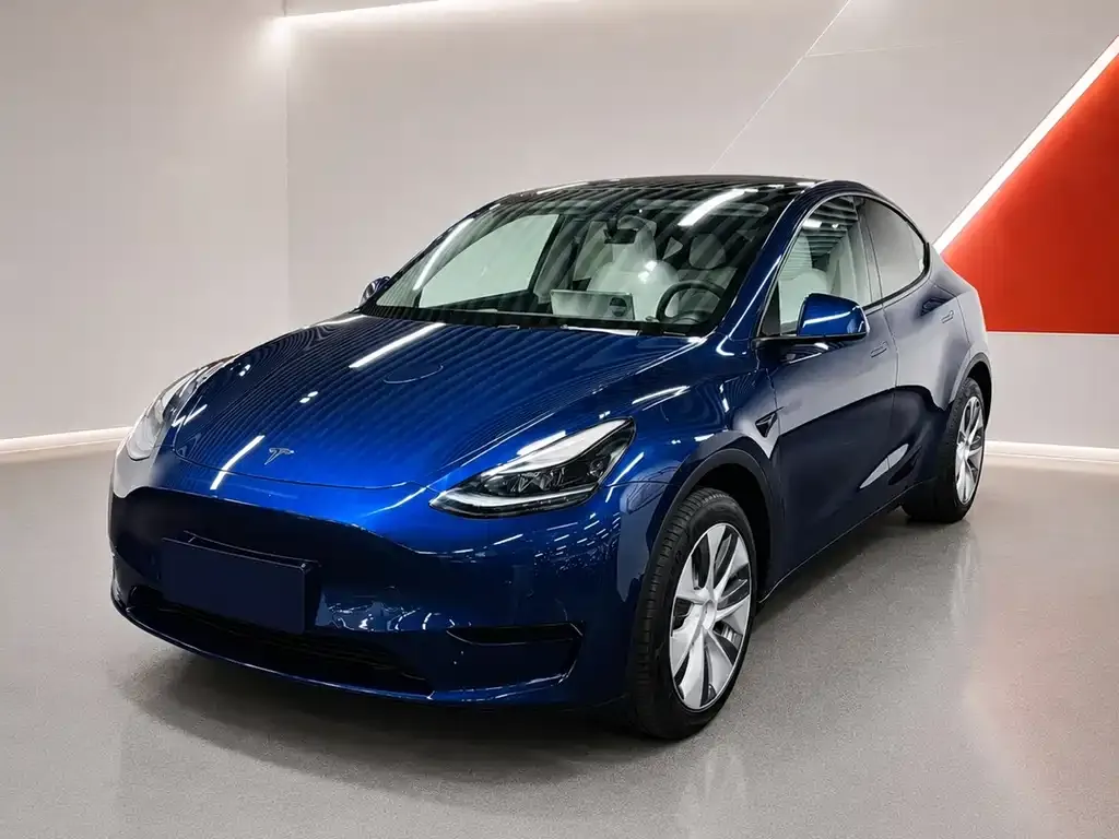 Tesla Model Y — фото 1