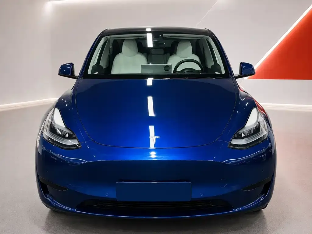 Tesla Model Y — фото 5