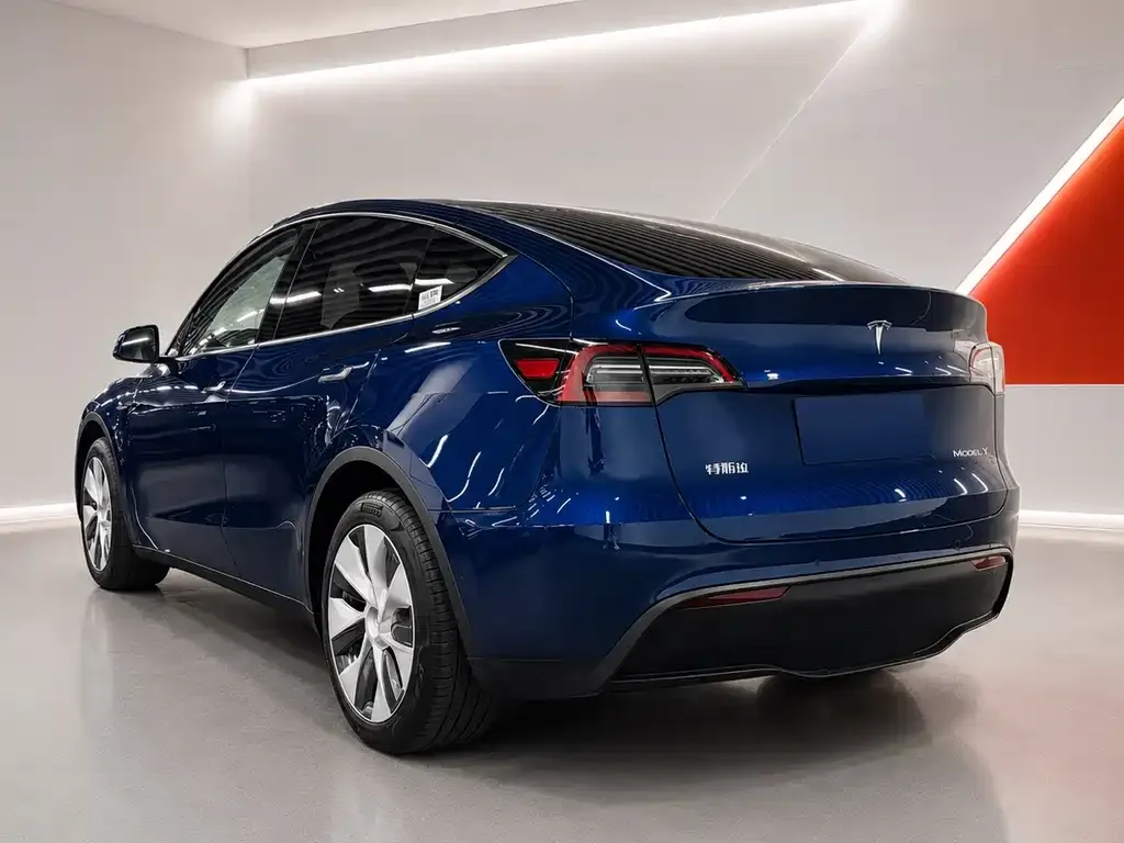 Tesla Model Y — фото 2